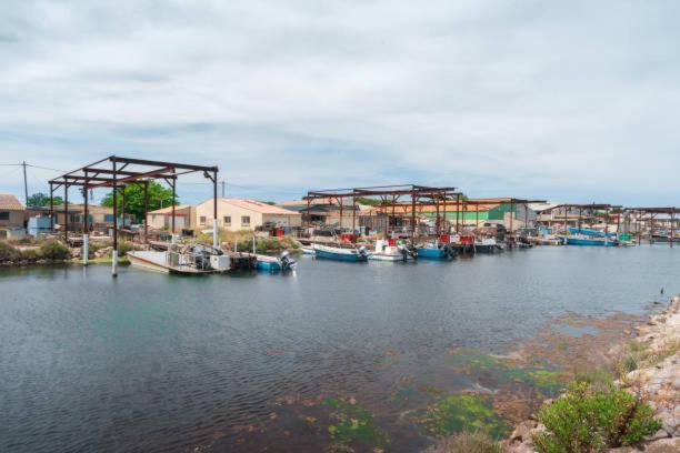 La Casa Tranquilia Chez Vero Et Jj Studio A Marseillan Exteriér fotografie